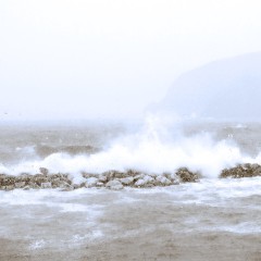 La barca di Roberto Marchese